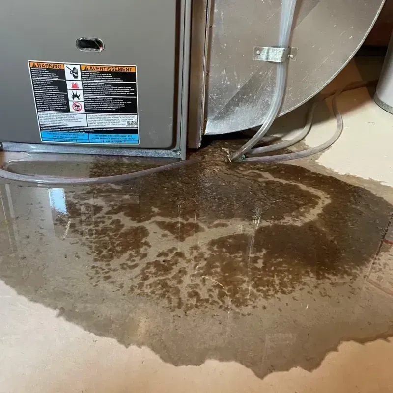 Appliance Leak Cleanup in Brunswick, MD